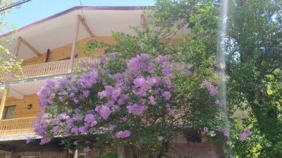 HOUSE IN ABASTUMANI — Photo 7
