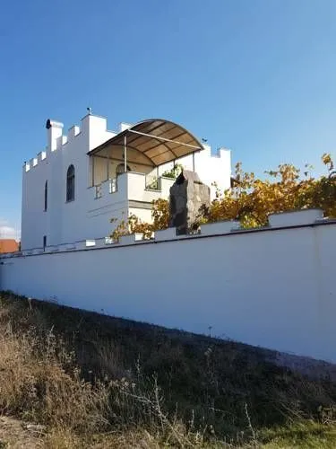 Laguna Villa with Sauna, Pool, Billiards & Garden at Bazaleti Lake — Photo 3