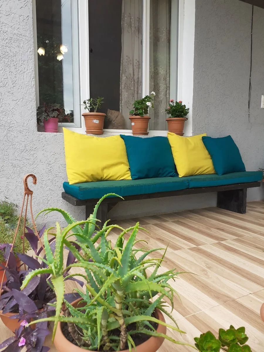 Bee's house — Photo 2