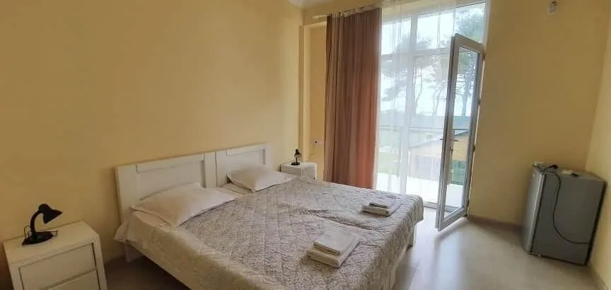 Hotel Lizana Shekvetili — Photo 37