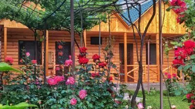 Guesthouse Shoda — Photo 5
