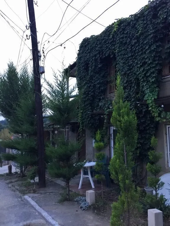 Guest house Ekvana — Photo 15