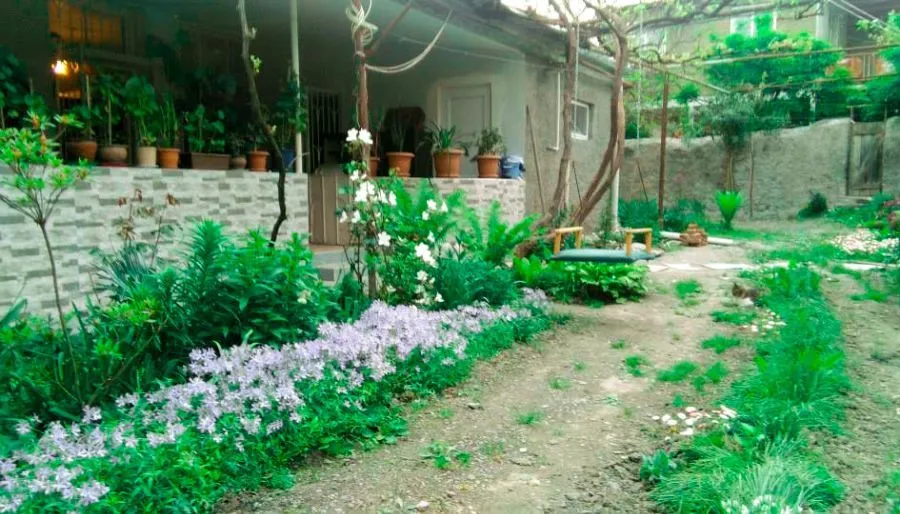 დურუჯი — ფოტო 6