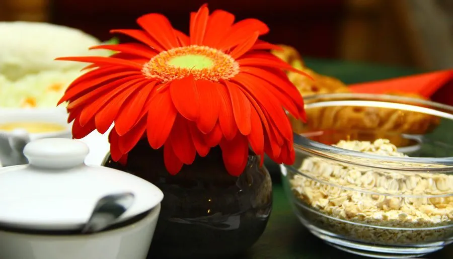 შაინი რუსთაველზე — ფოტო 15