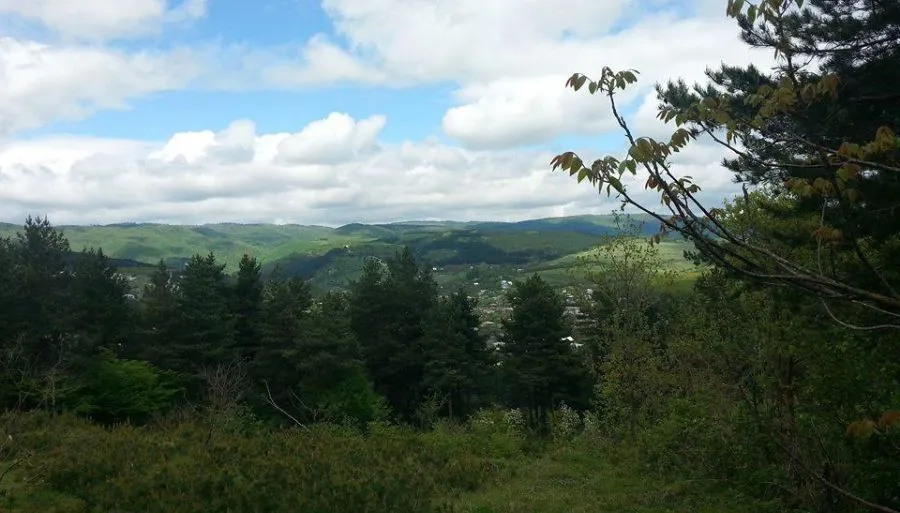 წითელი ტყუპი — ფოტო 8