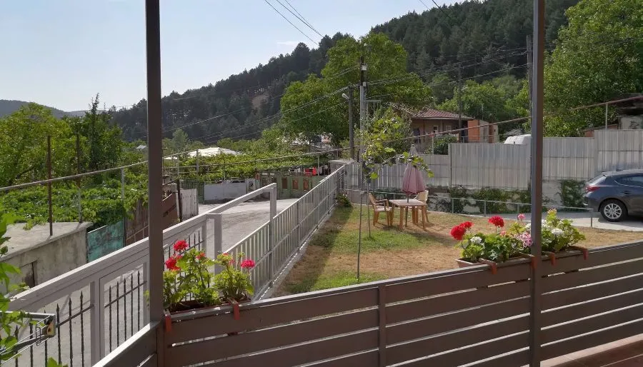 წითელი ტყუპი — ფოტო 9