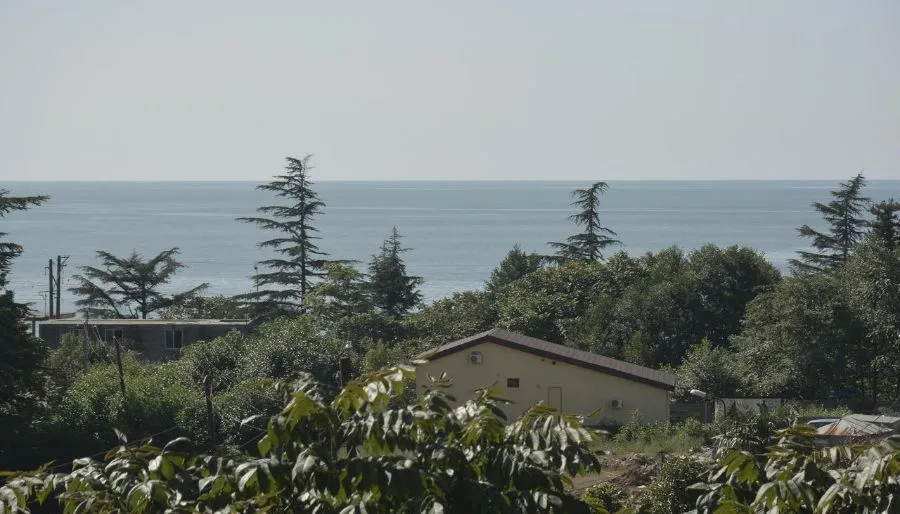 Sea country — Photo 15