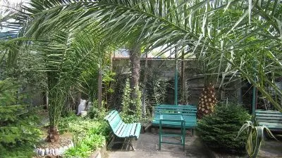 Guesthouse 97 in Batumi — Photo 12