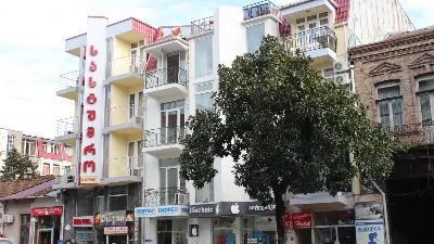 დელფინი — ფოტო 12