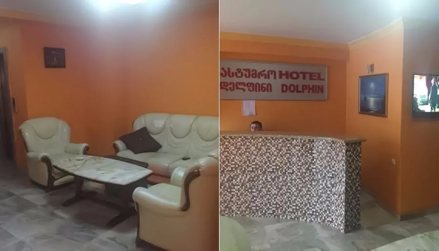 დელფინი — ფოტო 1