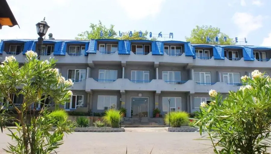 რები გურჯაანი — ფოტო 13