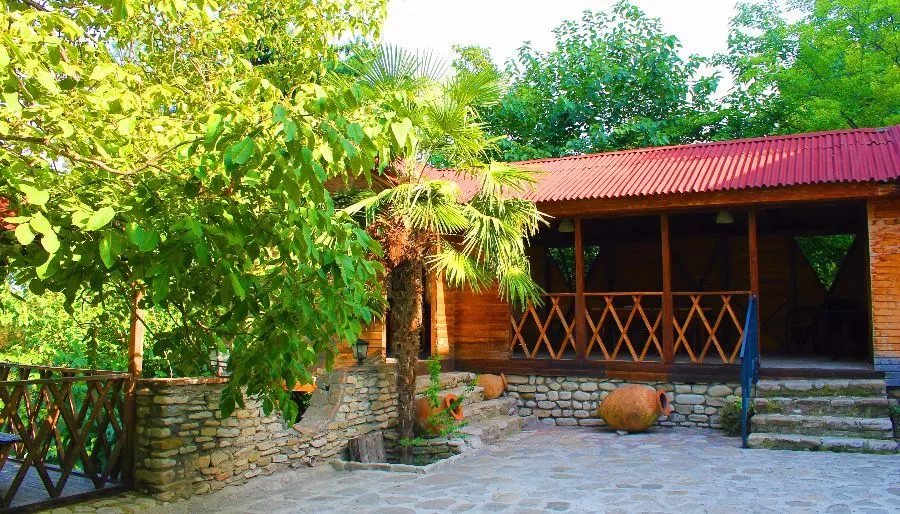 რები გურჯაანი — ფოტო 11