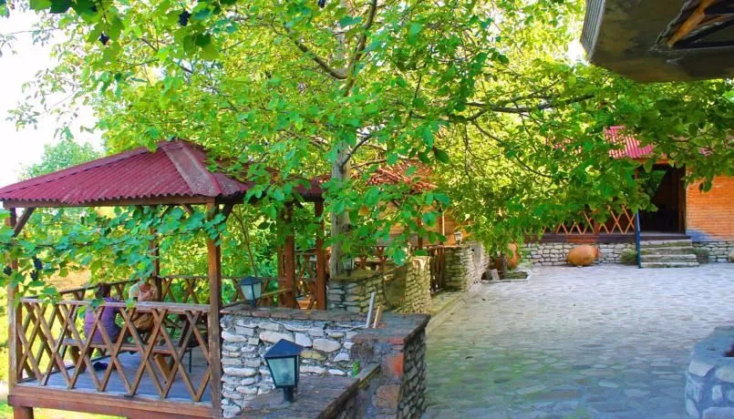 რები გურჯაანი — ფოტო 5