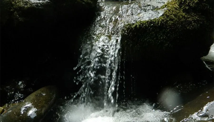 ბეკო — ფოტო 13