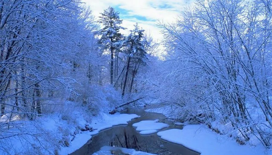 ბეკო — ფოტო 2
