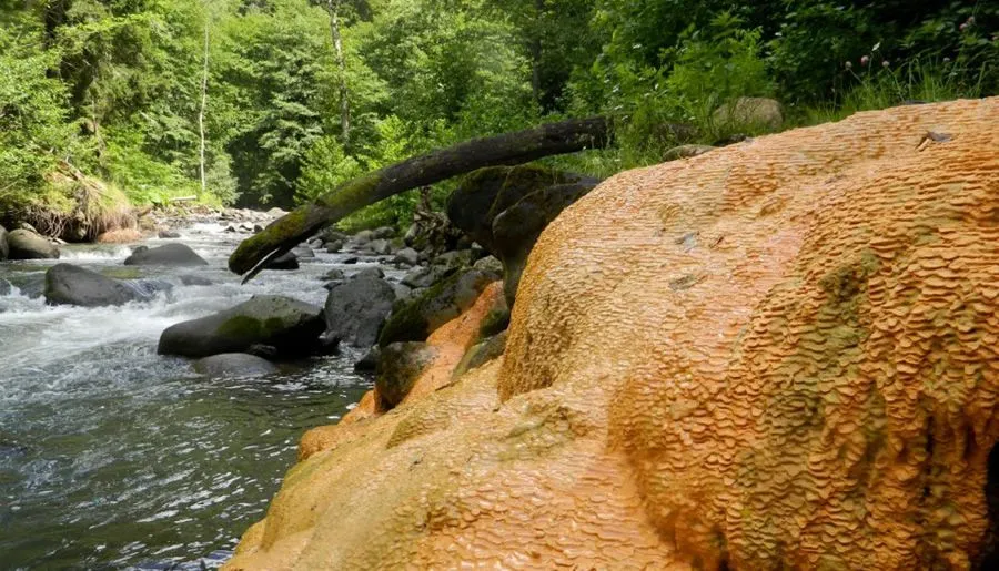 ბეკო — ფოტო 6