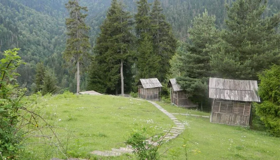 ბეკო — ფოტო 14