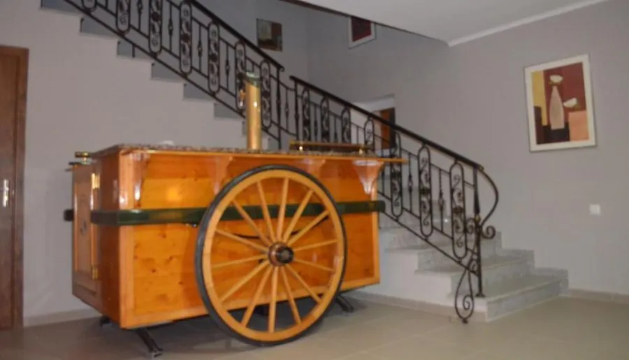 მარტვილი პალასი — ფოტო 15