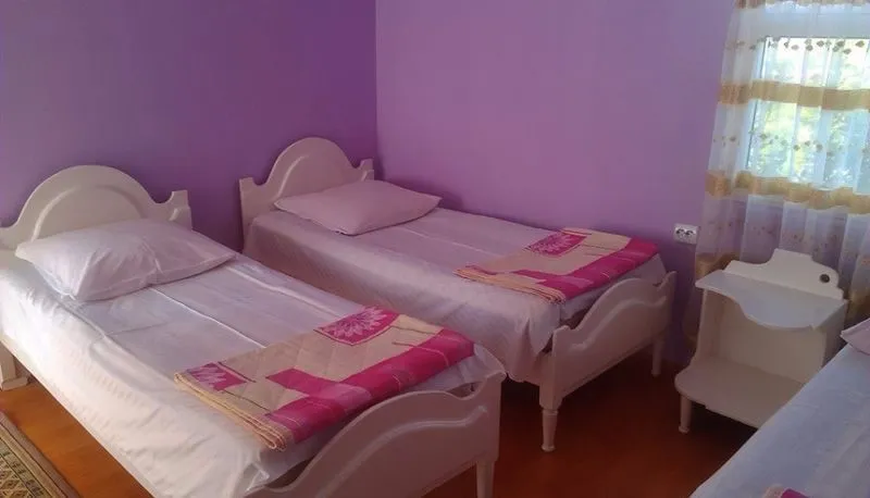 თვინს — ფოტო 57