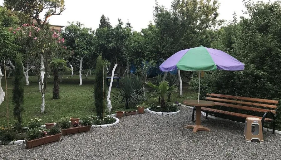 თვინს — ფოტო 5