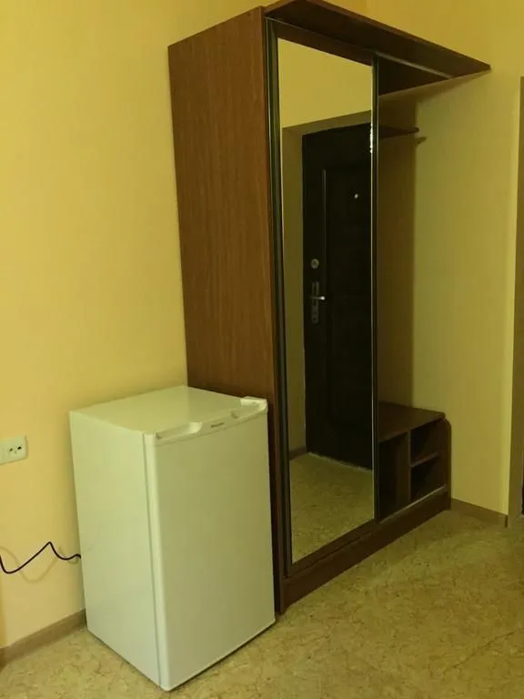 ფიროსმანი — ფოტო 32