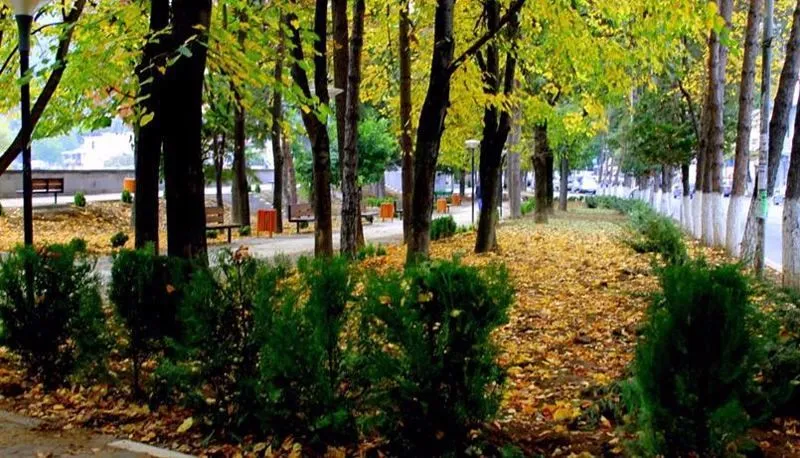 ფიროსმანი — ფოტო 10