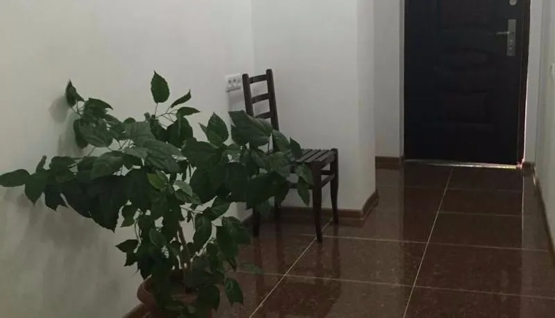ფიროსმანი — ფოტო 5