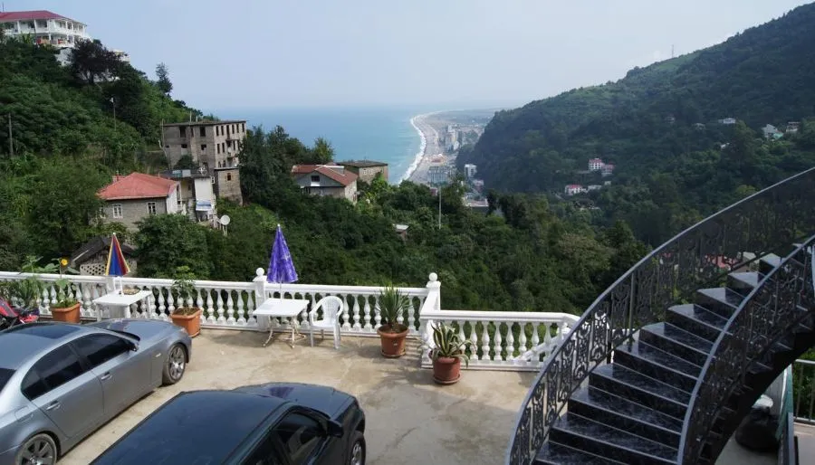 კვარი — ფოტო 1