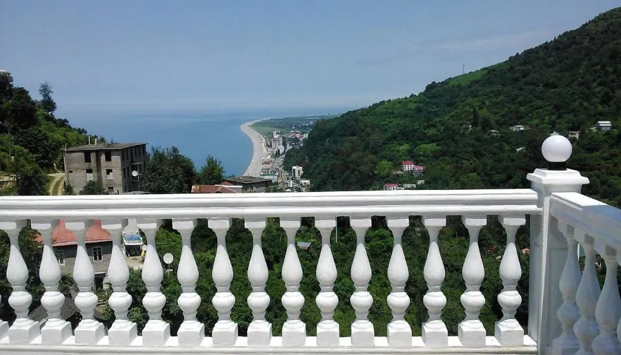 კვარი — ფოტო 2