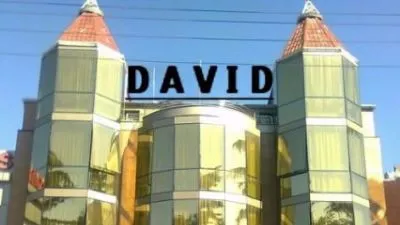 დავითი — ფოტო 2