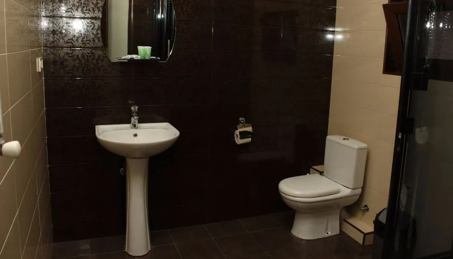 Majestic Hotel Tbilisi — Photo 24