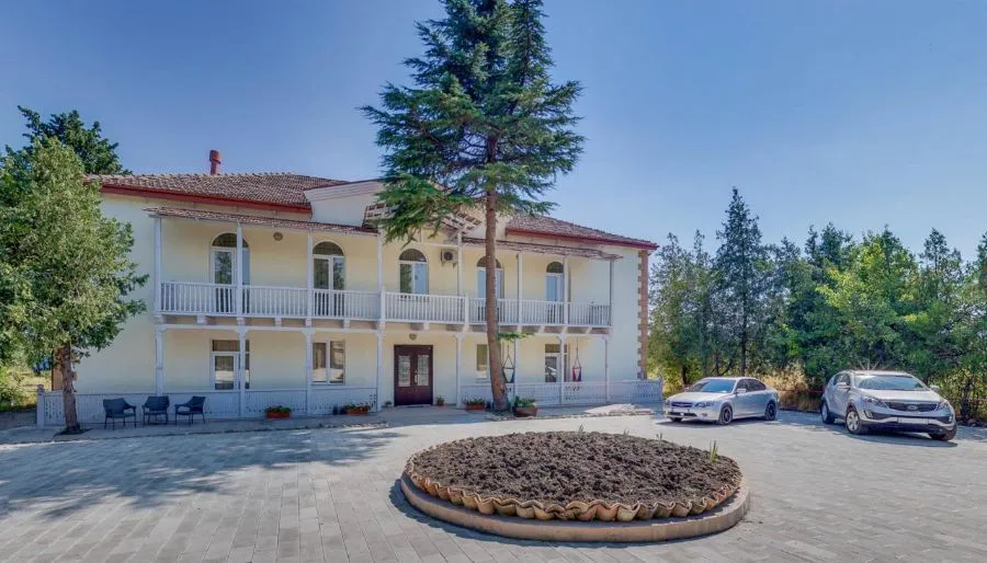 ბადიაური — ფოტო 16