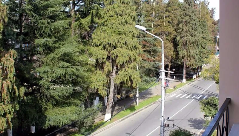 დანი — ფოტო 9