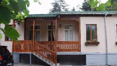 Borjomi Central Park Apartment 1 — Photo 6