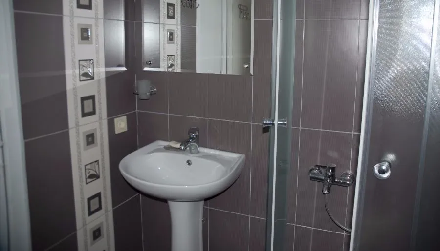Borjomi Central Park Apartment 1 — Photo 14