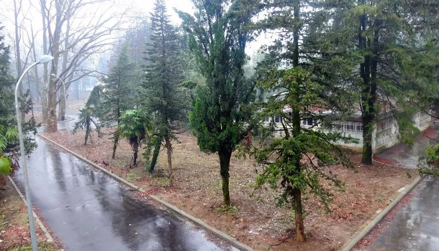 არგო — ფოტო 14