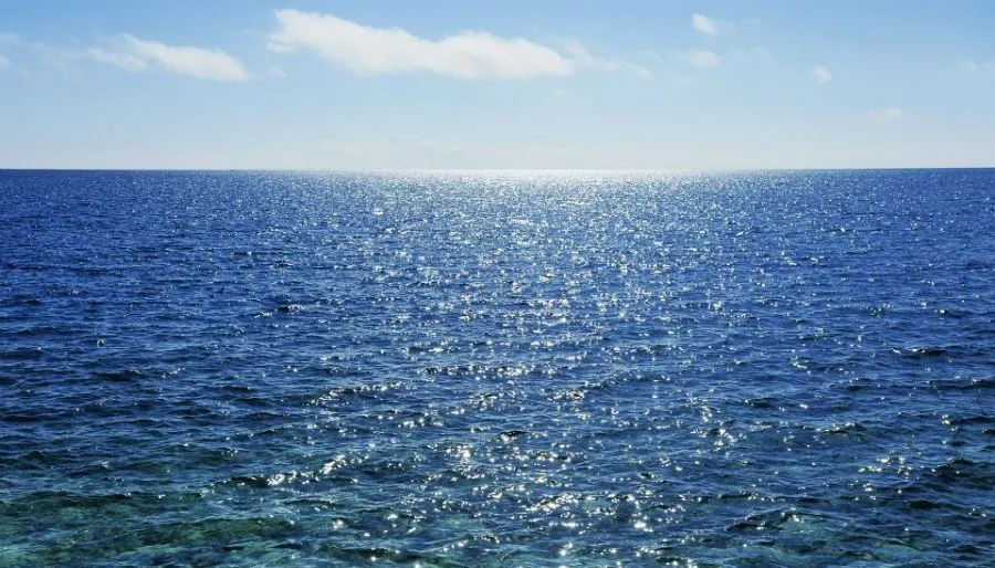 ვიქტორია — ფოტო 16