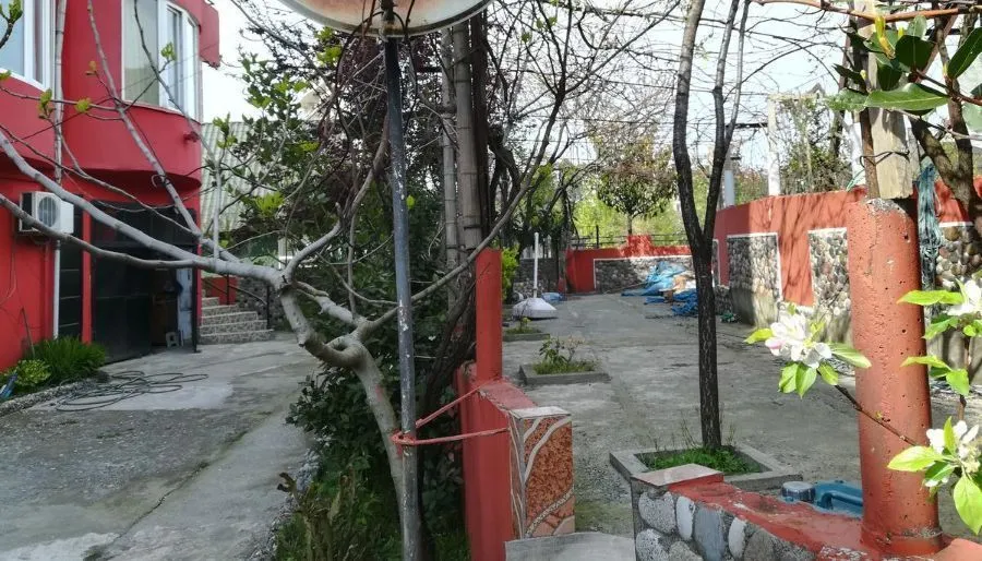 მერი — ფოტო 9