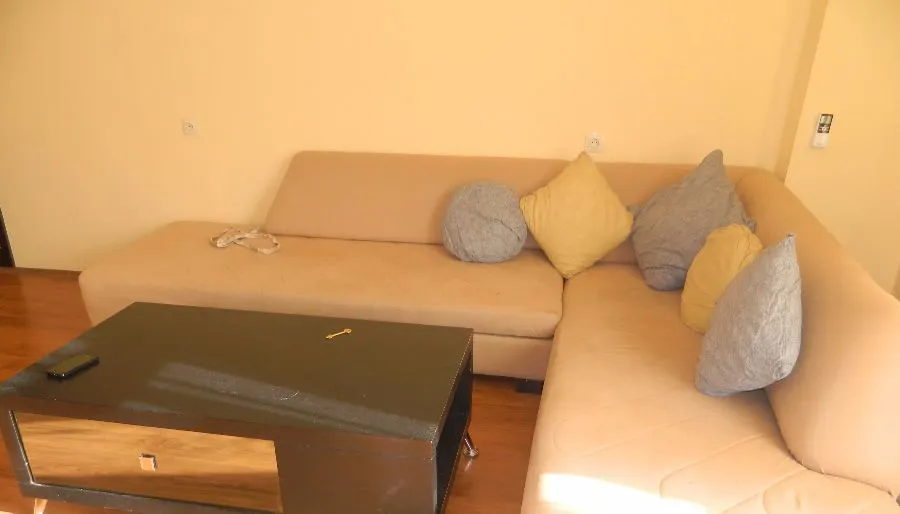 Apartment on Cincadze — Photo 7