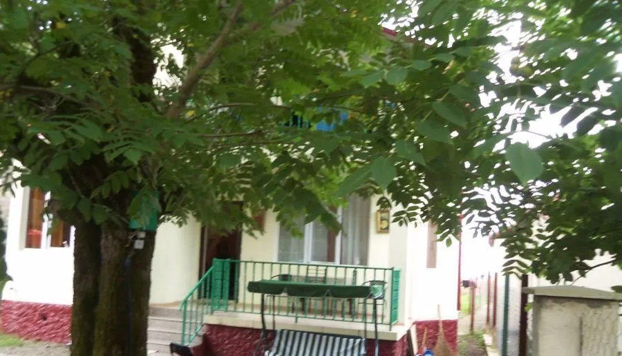 თინიკო — ფოტო 19