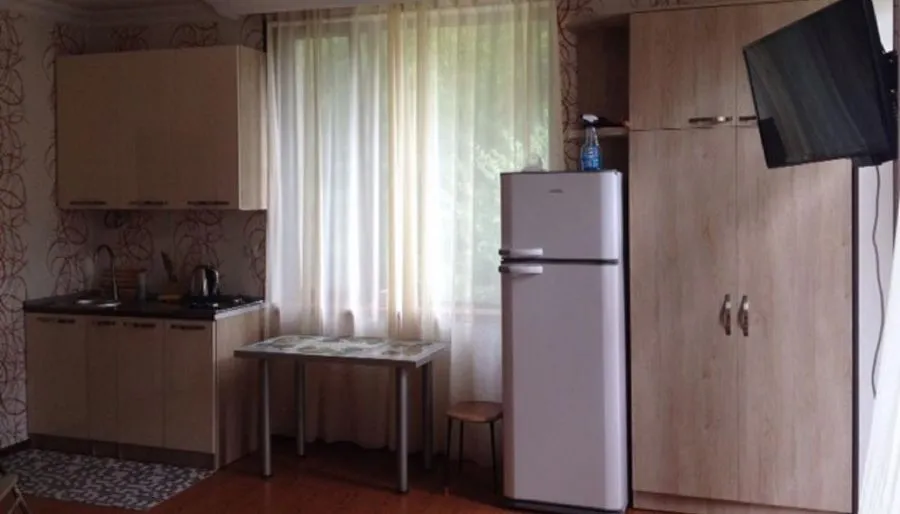 Guest House Borjomi — Photo 43