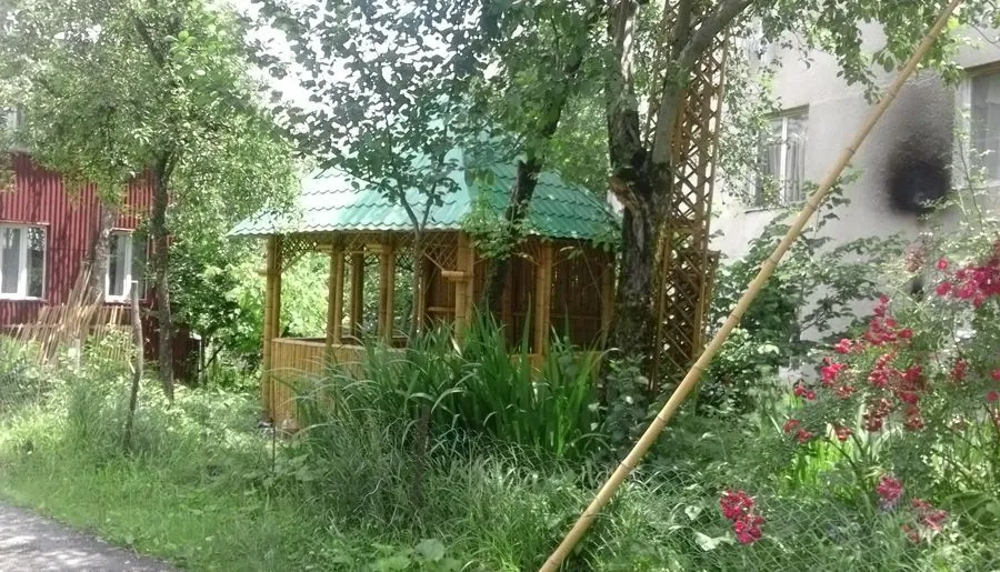 მათე — ფოტო 6