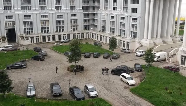 თეთრი მაგნოლია — ფოტო 6