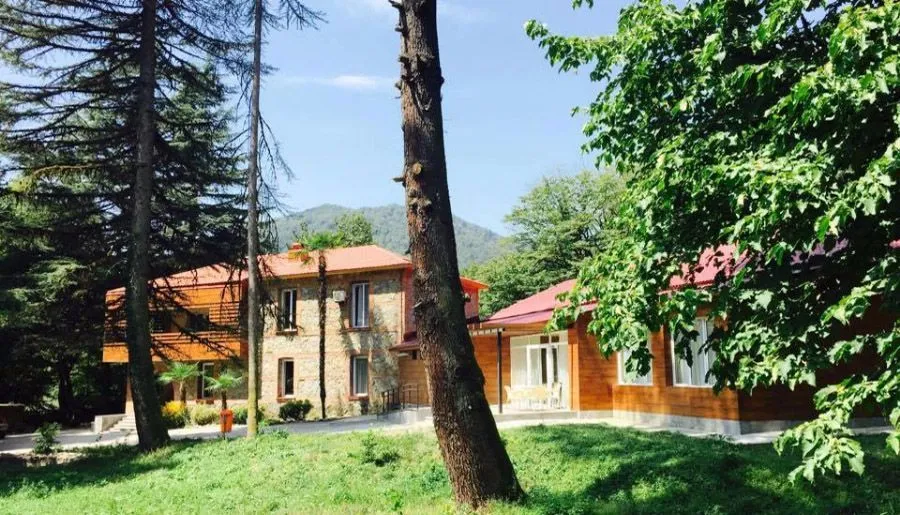 ვალდ ჰოტელ ლაგოდეხი — ფოტო 19