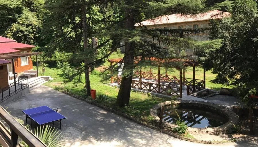 ვალდ ჰოტელ ლაგოდეხი — ფოტო 10