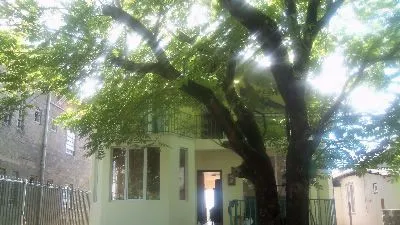TINIKO — Photo 12