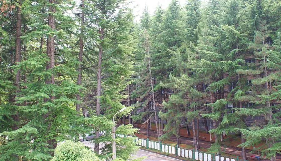 ერმა — ფოტო 16
