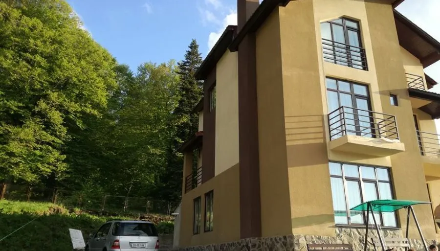 ელენა — ფოტო 4