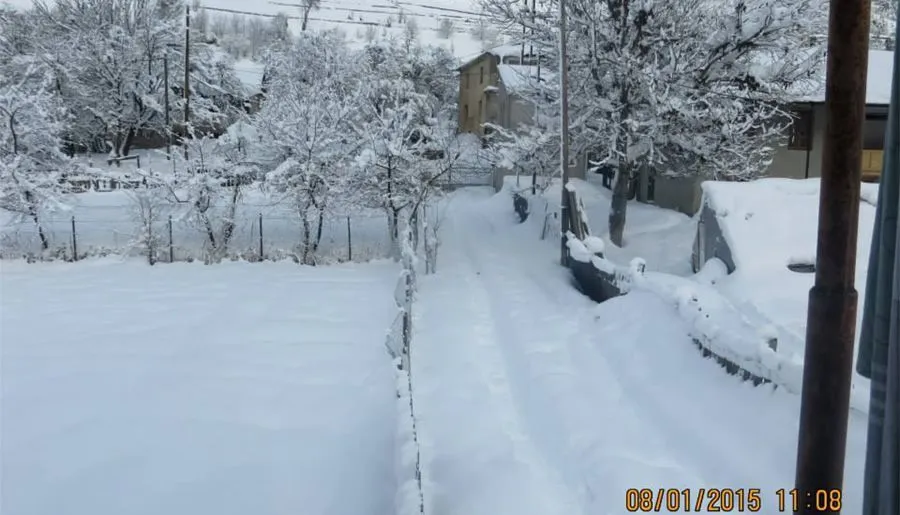 Golden Mountains House — ფოტო 1