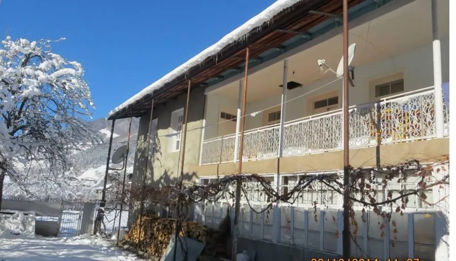 Golden Mountains House — ფოტო 9